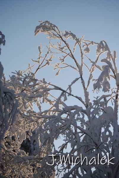 DSC_9624.JPG
