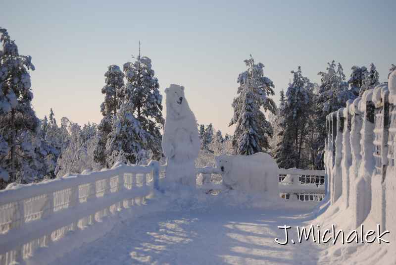 DSC_9628.JPG