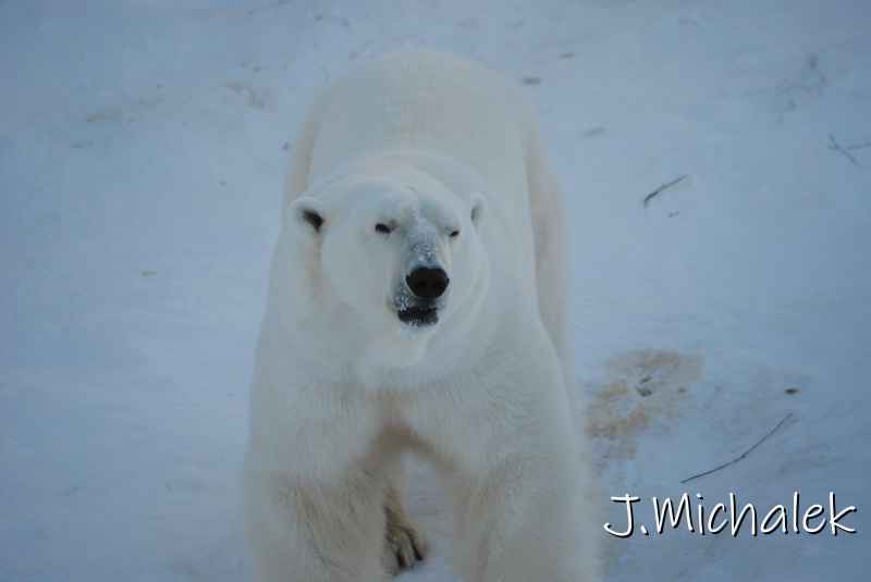 DSC_9632.JPG