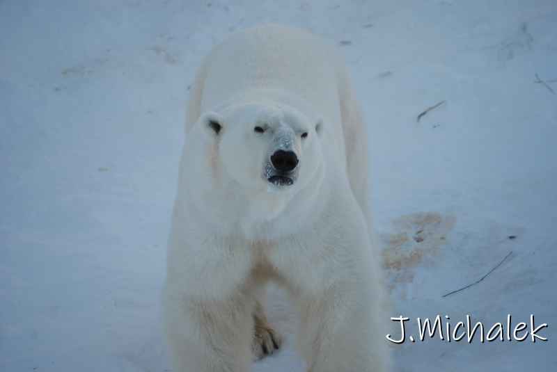 DSC_9635.JPG