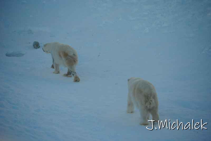 DSC_9642.JPG