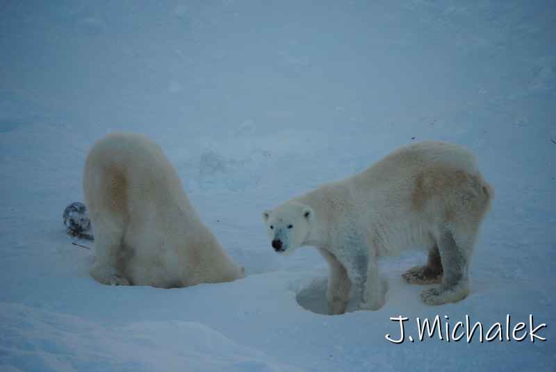 DSC_9644.JPG