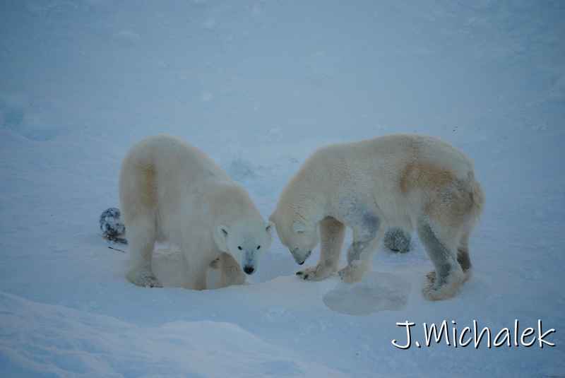 DSC_9645.JPG