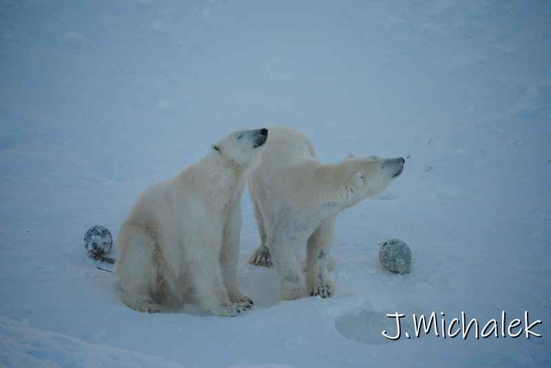 DSC_9651.JPG