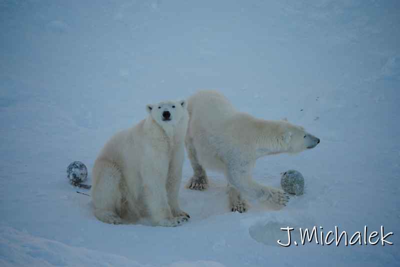 DSC_9653.JPG
