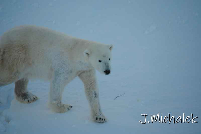 DSC_9659.JPG