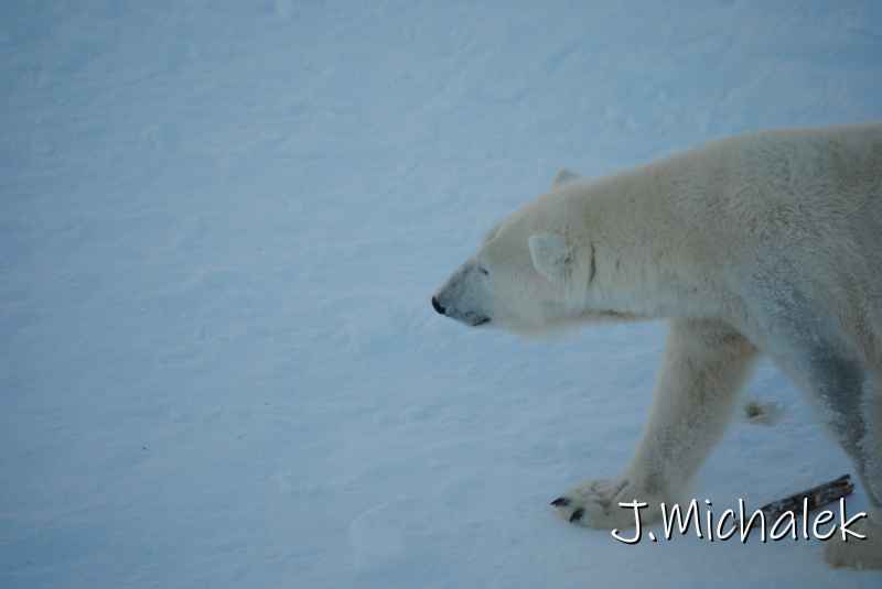 DSC_9664.JPG