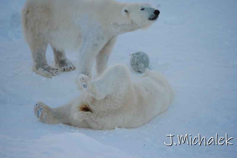 DSC_9667.JPG