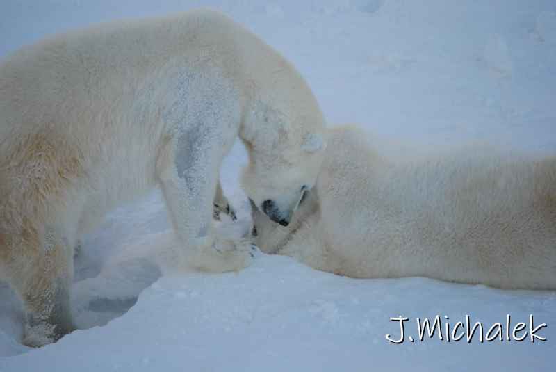 DSC_9673.JPG