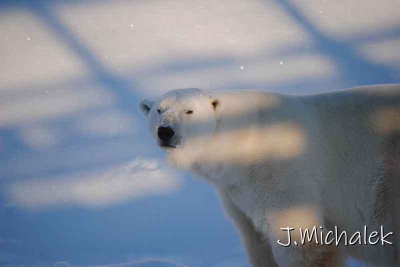 DSC_9694.JPG