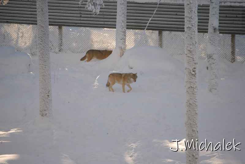 DSC_9696.JPG