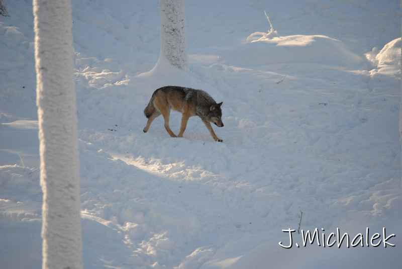 DSC_9701.JPG