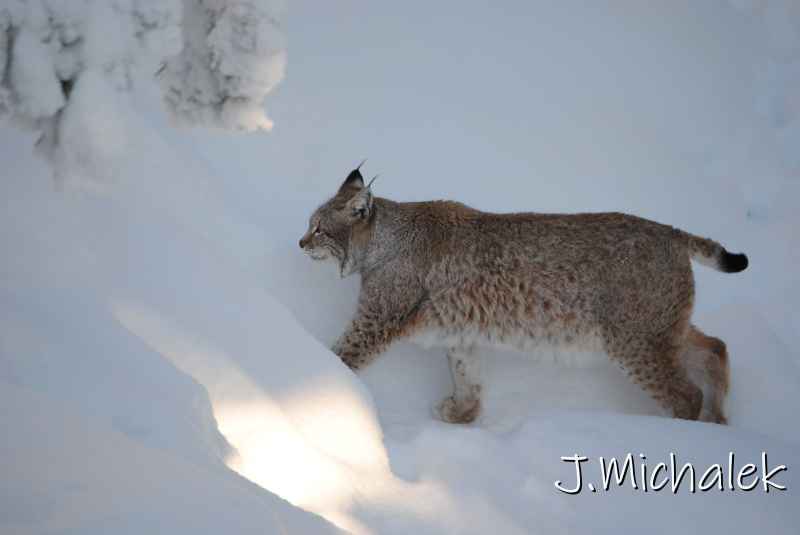 DSC_9709.JPG