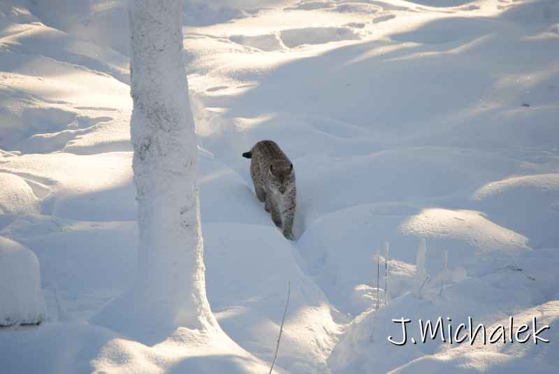 DSC_9715.JPG