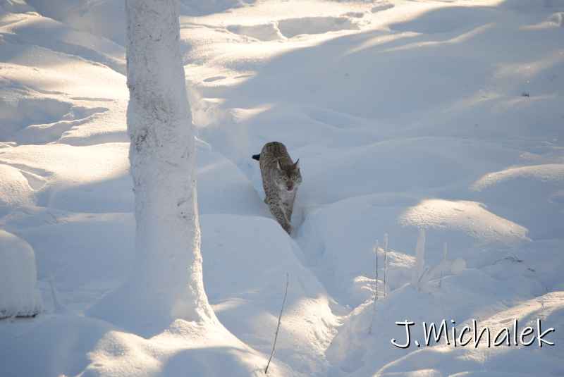DSC_9716.JPG