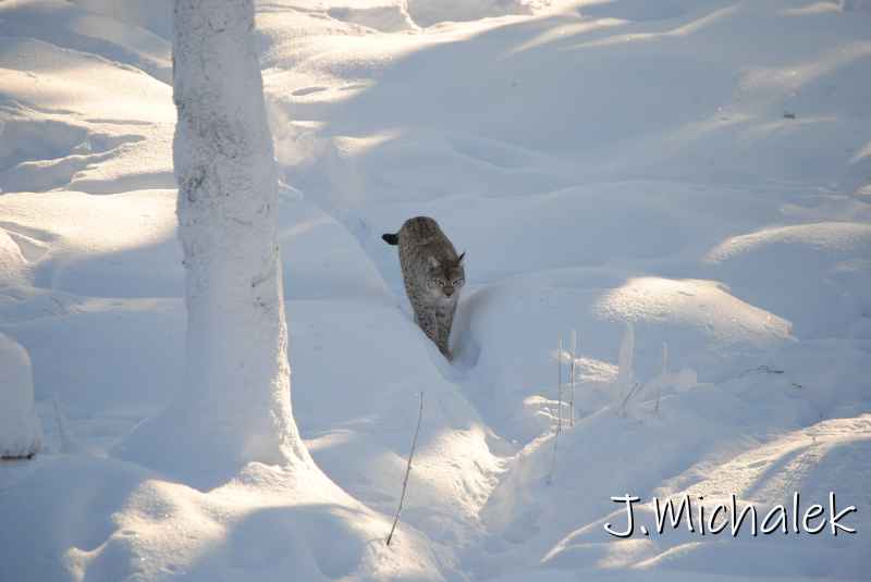 DSC_9717.JPG