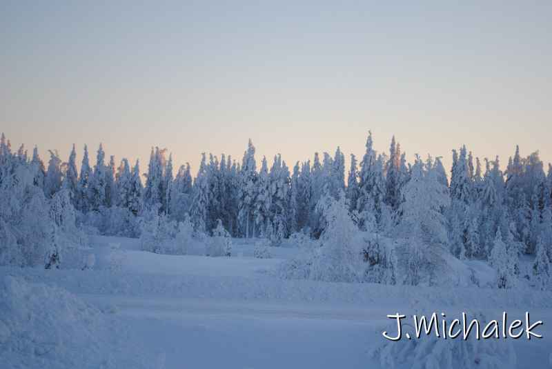 DSC_9776.JPG