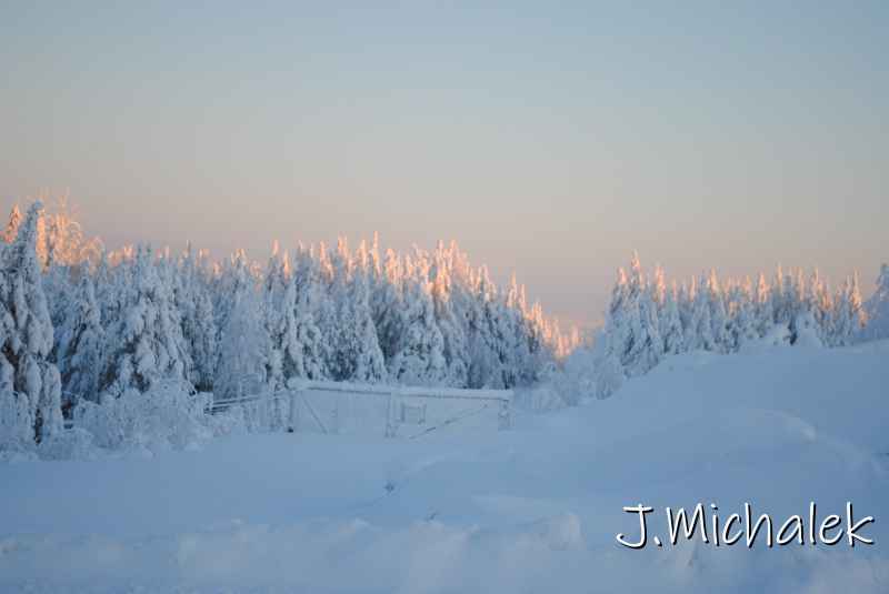 DSC_9784.JPG