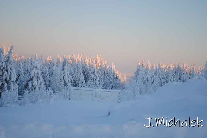 DSC_9786.JPG
