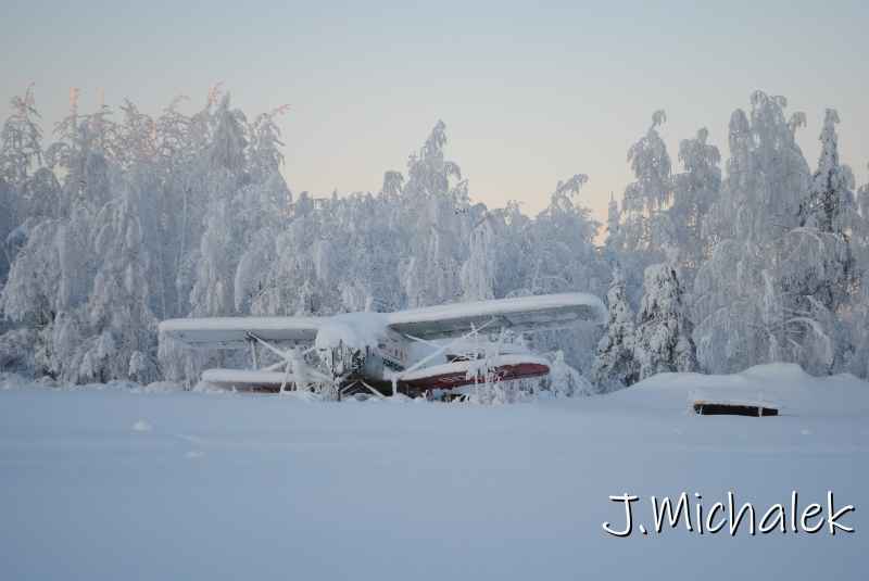 DSC_9795.JPG