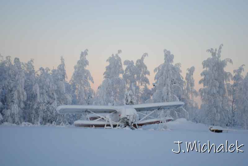 DSC_9798.JPG