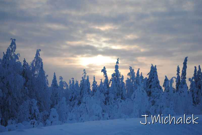 DSC_9826.JPG