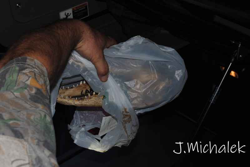 DSC_9857.JPG