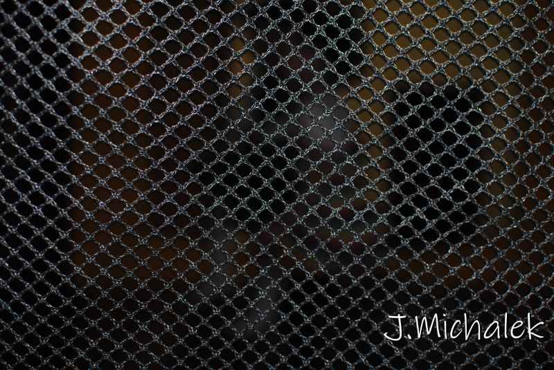 DSC_0733.JPG
