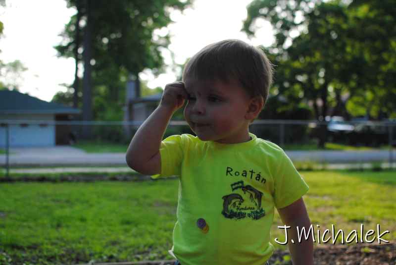 DSC_0805.JPG