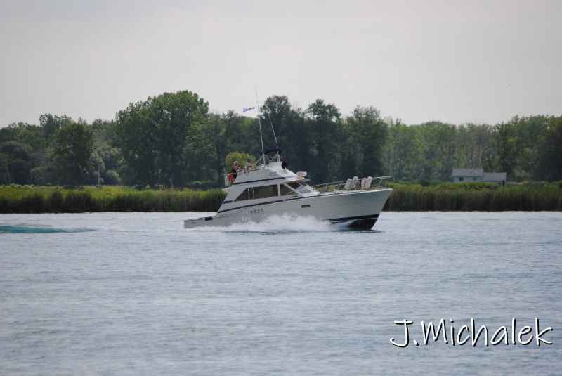 DSC_1566.JPG