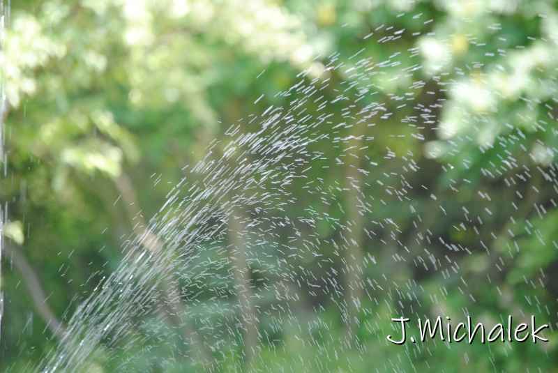 DSC_1569.JPG