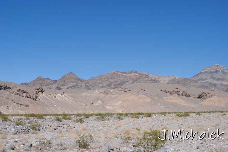 DSC_2338.JPG