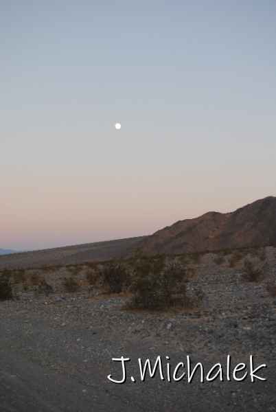 DSC_2445.JPG