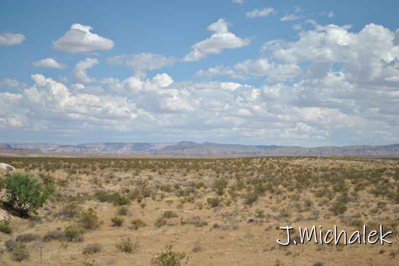 DSC_2779.JPG