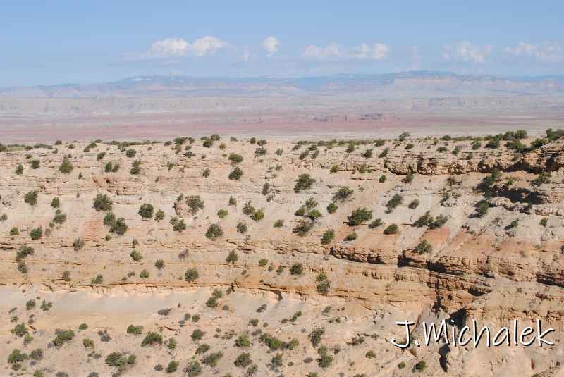 DSC_2853.JPG