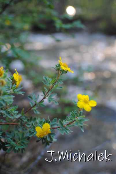 DSC_2920.JPG