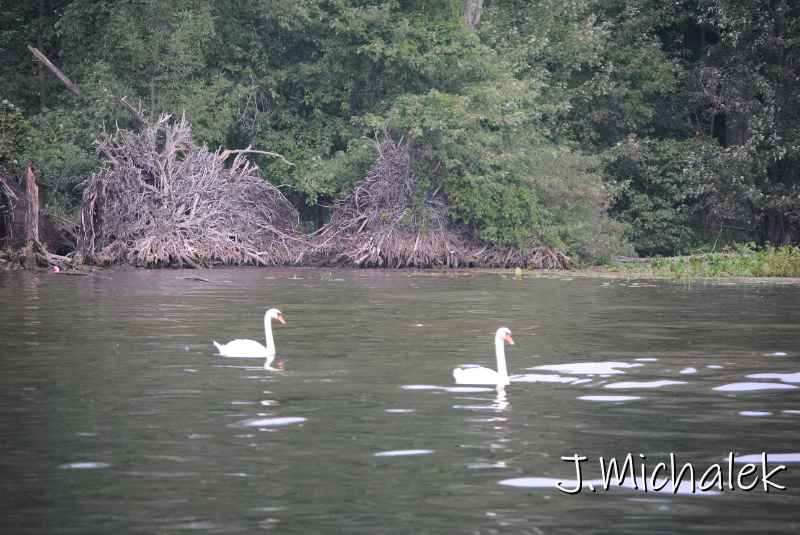 DSC_3221.JPG