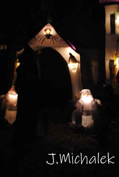 DSC_3556.JPG