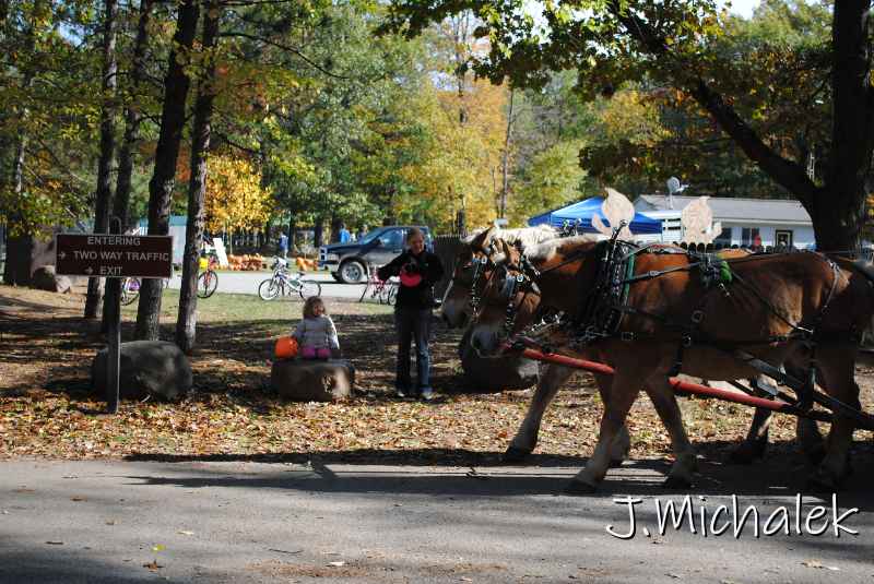 DSC_4581.JPG