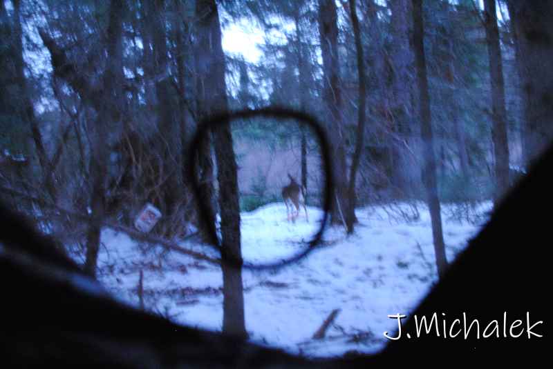 DSC_5297.JPG