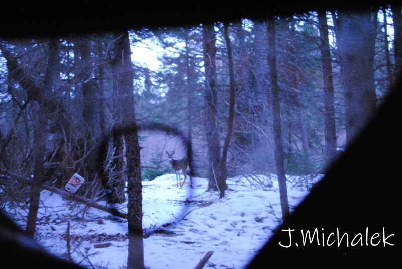 DSC_5298.JPG