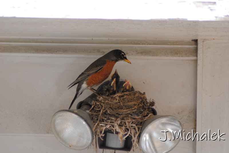 DSC_7751.JPG