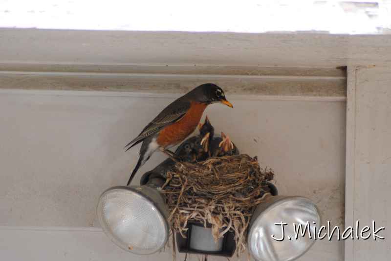 DSC_7752.JPG