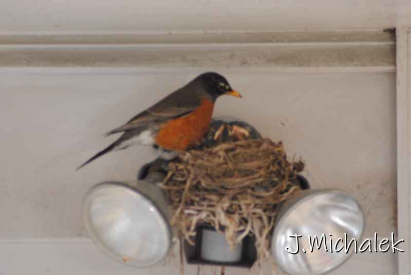 DSC_7763.JPG