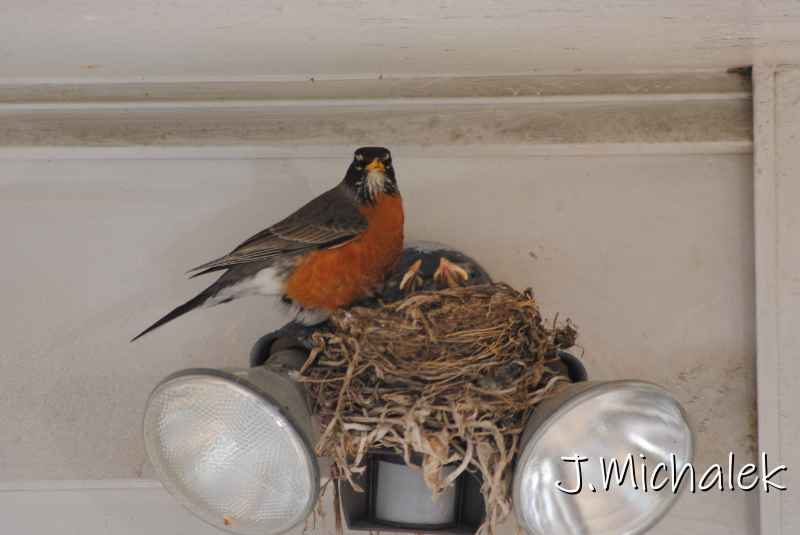 DSC_7765.JPG