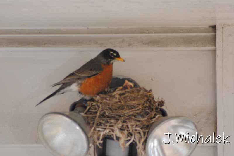 DSC_7769.JPG