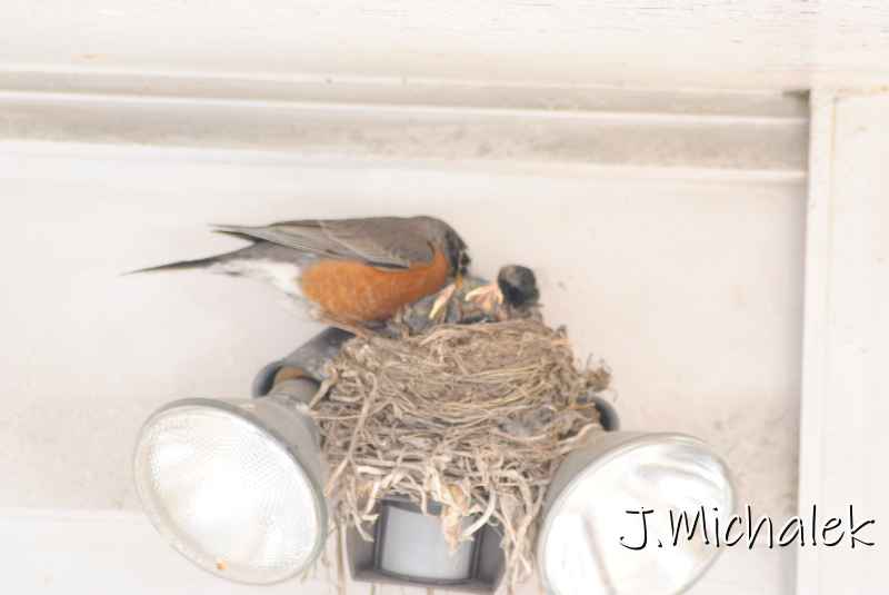 DSC_7783.JPG