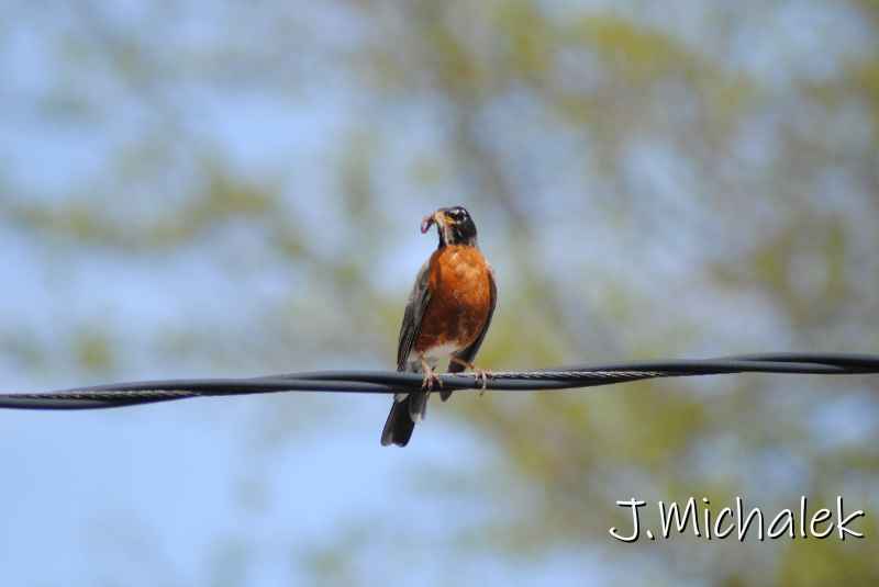 DSC_7805.JPG