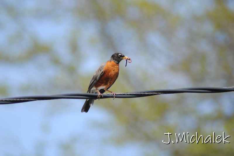 DSC_7807.JPG