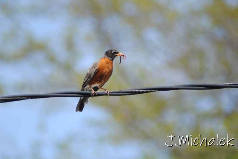DSC_7809.JPG